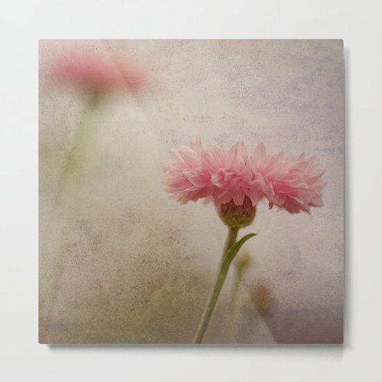 Soft Fragility Metal Print