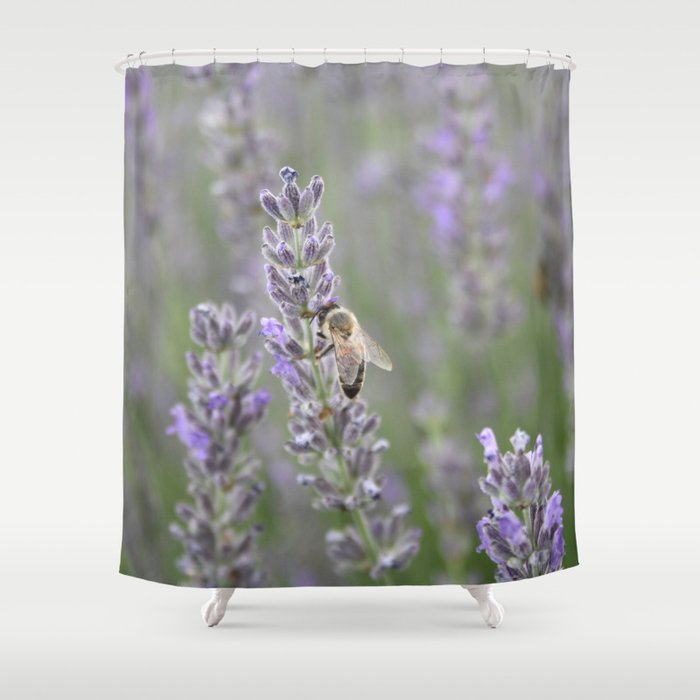 Honeybee On Lavender Close Up Photography Shower Curtain