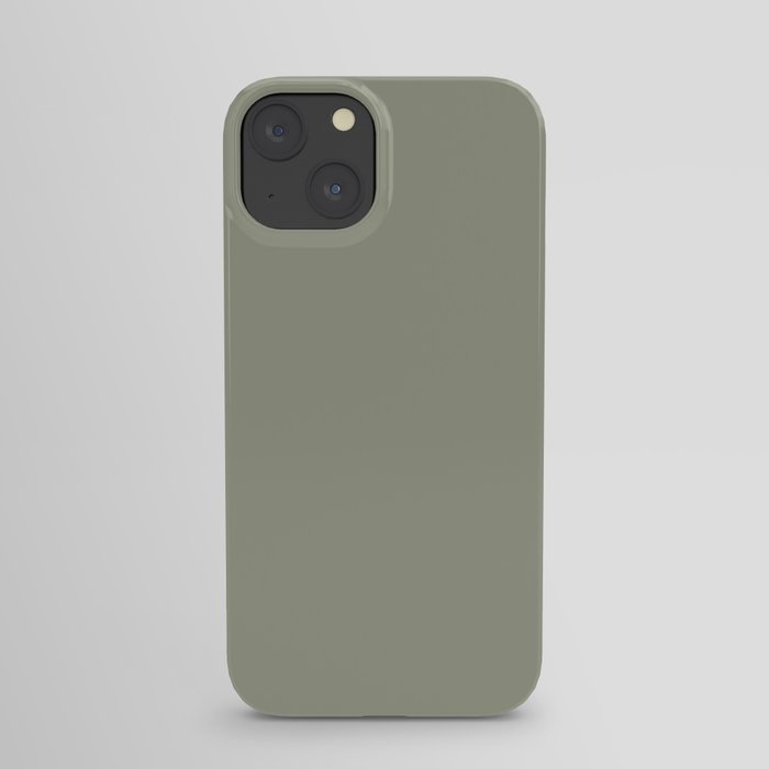 Pastel Sage Green Solid Color Pairs To Dunn & Edwards Flagstone Quartzite DET517 iPhone Case