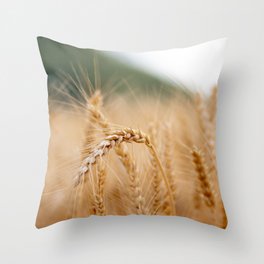 Wheat Throw Pillow