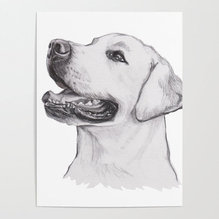 Gotta Draw The Smiley Yellow Lab Poster By Crazy Lalanny | Society6