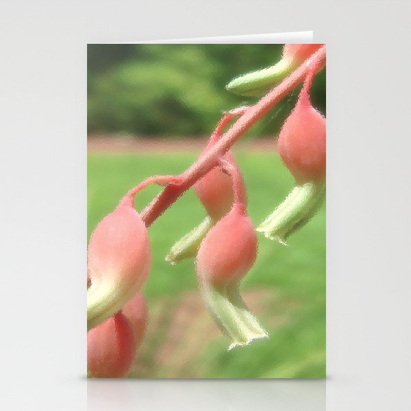 Cactus Flowers Stationery Cards