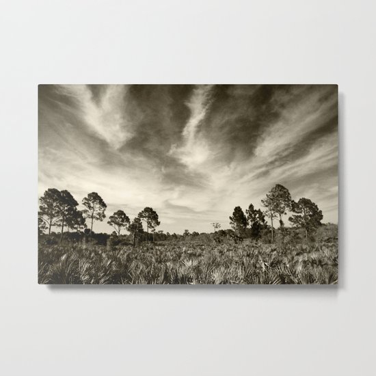 The real Florida Metal Print