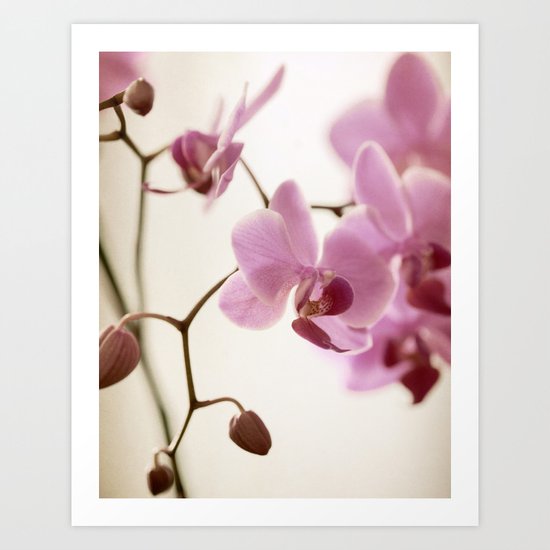 Seraphina Art Print