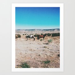 Wild horses, Nevada Art Print