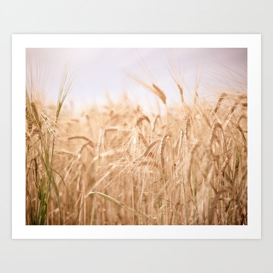 Golden Summer Art Print