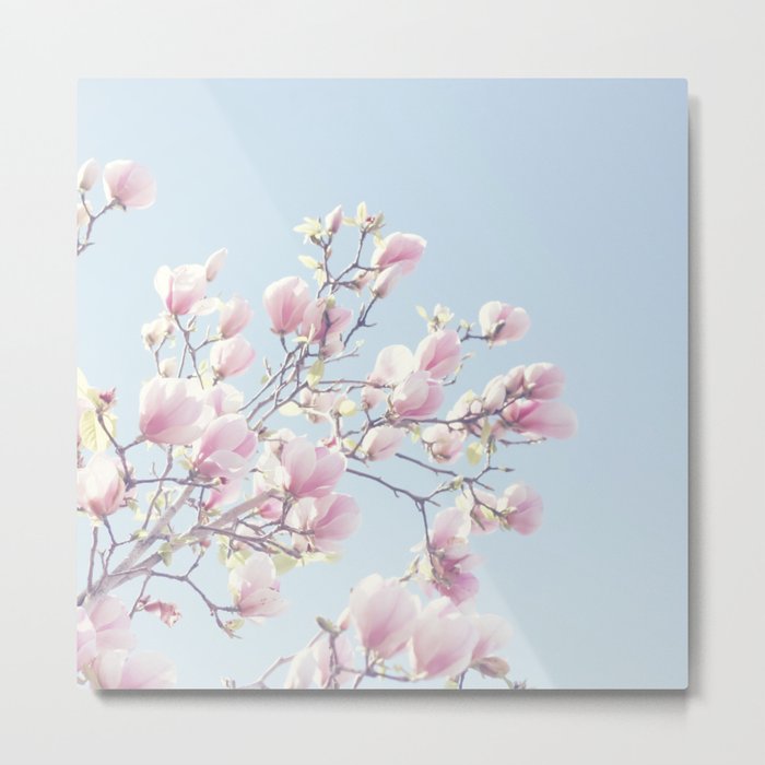 Pink magnolias Metal Print
