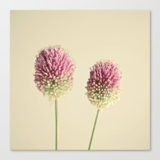 Two of a Kind Canvas Print