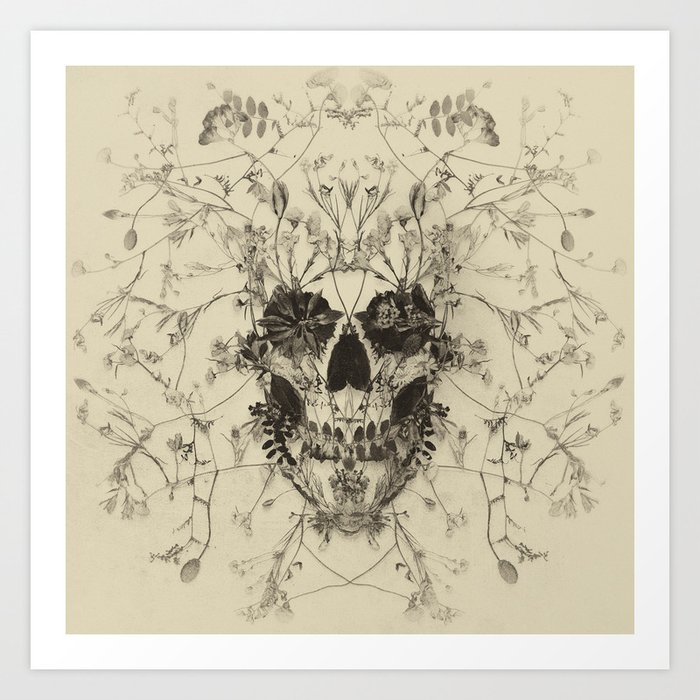 Delicate Skull Old Plate Art Print