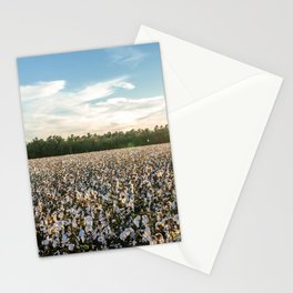 Cotton Field during Sunset Stationery Card