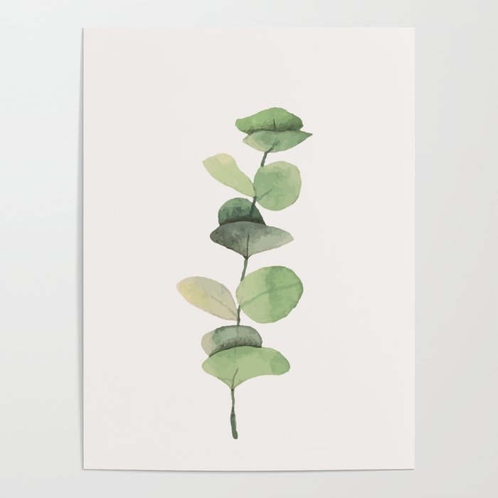 Watercolor Eucalyptus Branch Poster