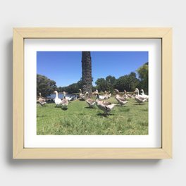 Duck, Duck, Geese! Recessed Framed Print