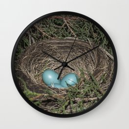 Robins nest with eggs Wall Clock