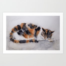 Calico cat Art Print