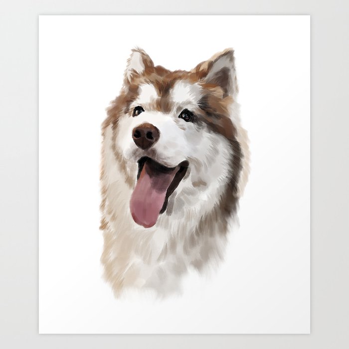 Red and white malamute top