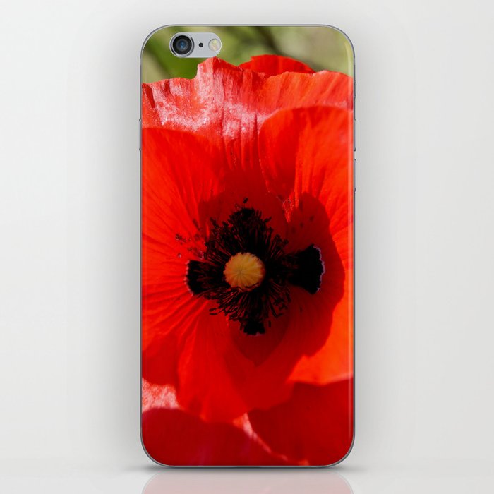 Poppy Flower iPhone Skin