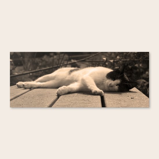 Sleepy cat Canvas Print