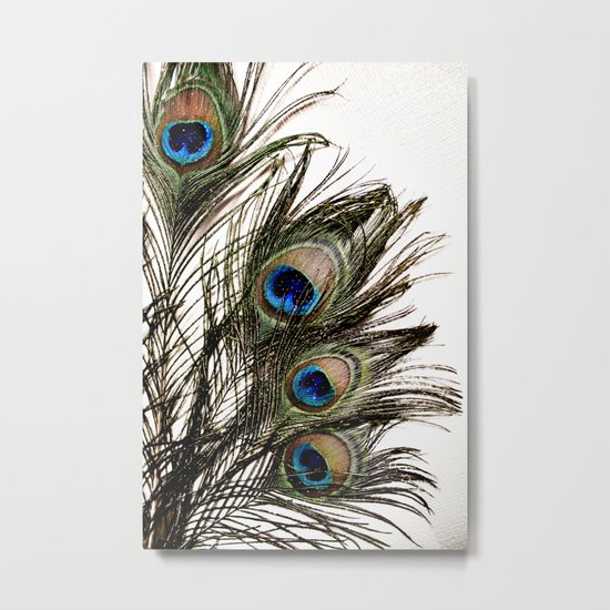 Feathered Metal Print