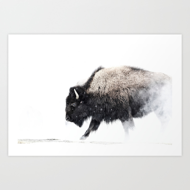 gasformig akademisk tegnebog Prancing Buffalo Art Print by InMyLens | Society6