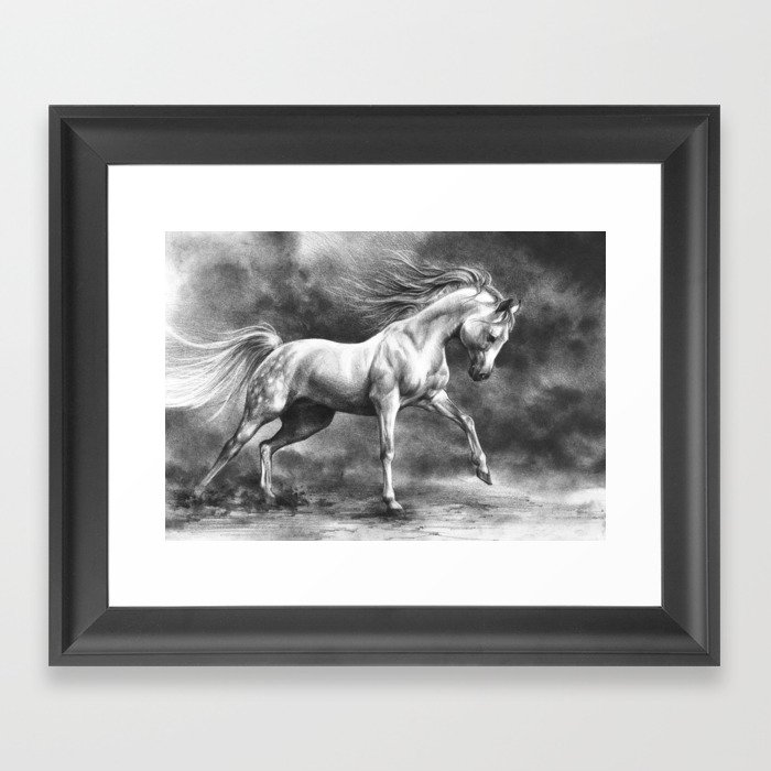 Running white horse - equine art Framed Art Print