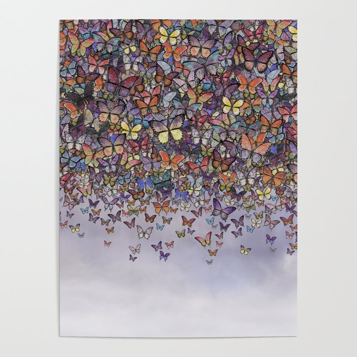 butterfly cascade Poster