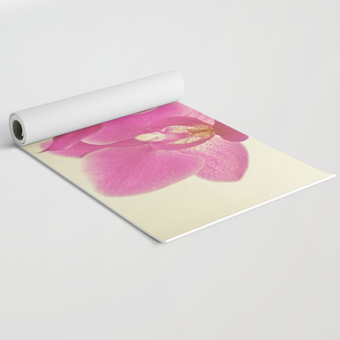 Pink Orchid