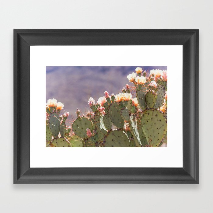 Prickly Pear Blooms I Framed Art Print