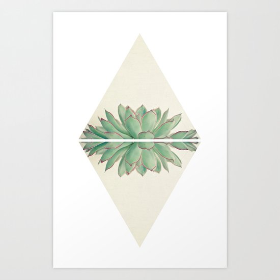 Echeveria II Art Print