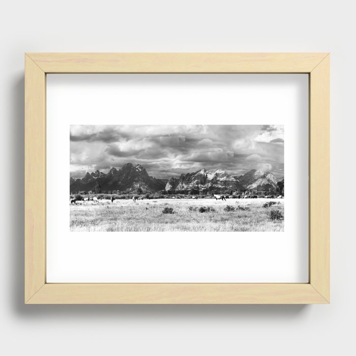 Horse and Grand Teton (Black and White) Recessed Framed Print