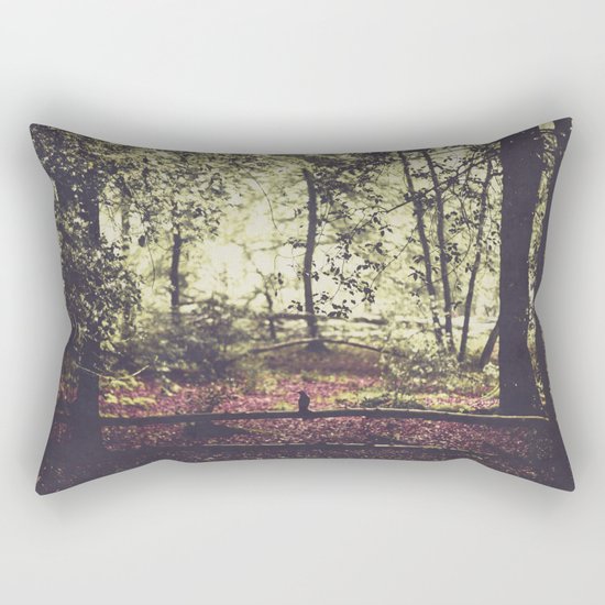 sHadow and liGht Rectangular Pillow