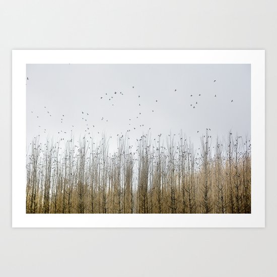 Wild Birds Flying. Foggy Sunrise Art Print