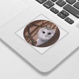 curious owl Sticker