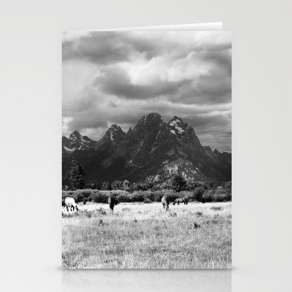 Horse and Grand Teton (Black and White) Stationery Cards