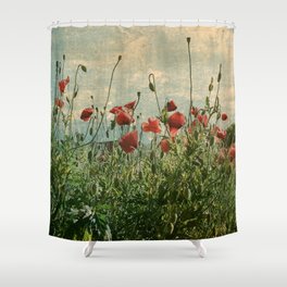 Retro blooming poppy flowers summer field Shower Curtain