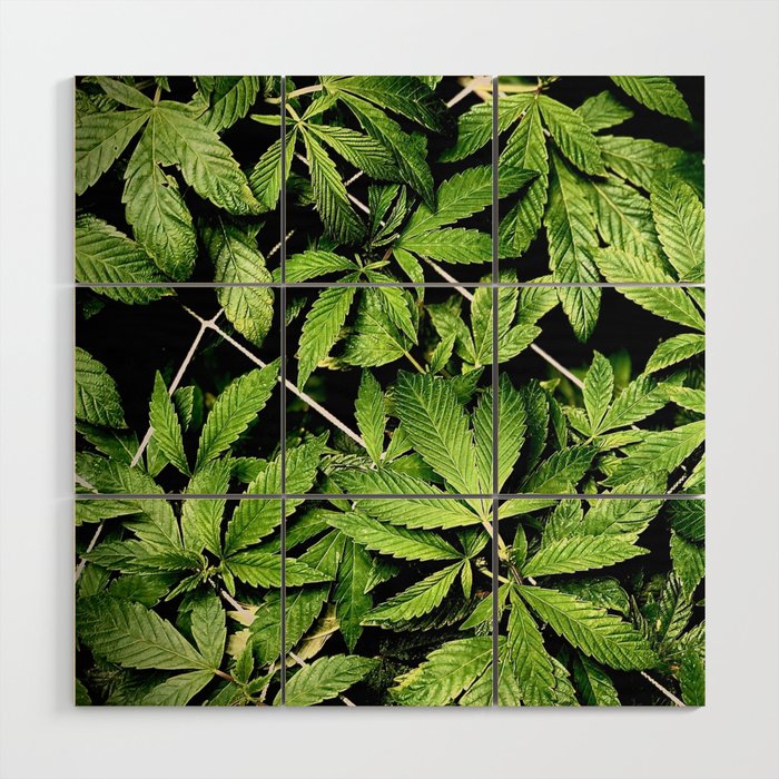 Cannabis Netted Wood Wall Art