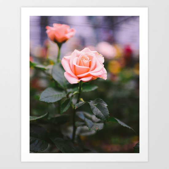 New Again Art Print