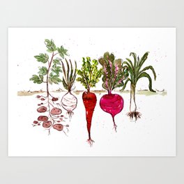 Vegetables in the garden Art Print