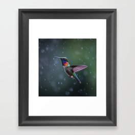 Hummingbirds in the rain Framed Art Print