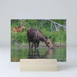 Algonquin Moose Encounter I Mini Art Print