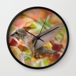 Little Ms. Hummingbird in for More Licks Wall Clock