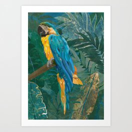 Macaw Meditation in the jungle Art Print