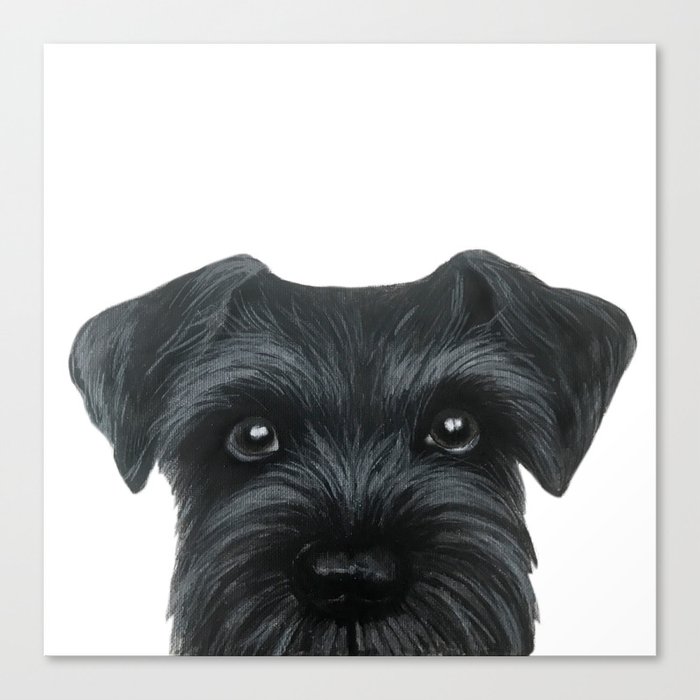 Schnauzer online canvas art