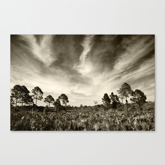 The real Florida Canvas Print