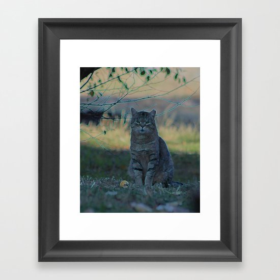 Achilles Framed Art Print