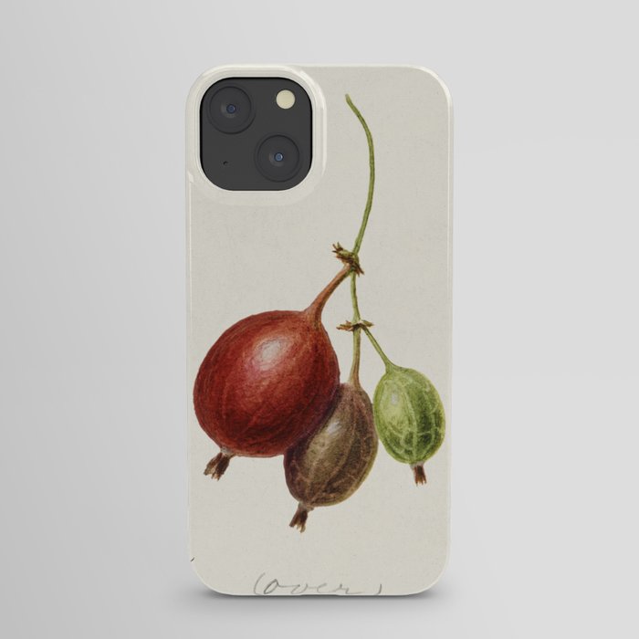 Gooseberries (Ribes) (1891) by Frank Muller. iPhone Case