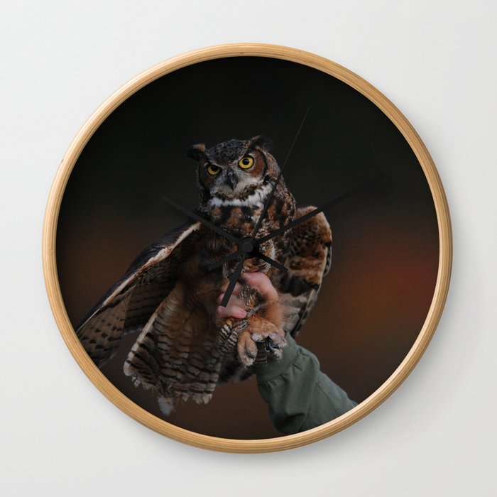 owl bird photo Wall Clock