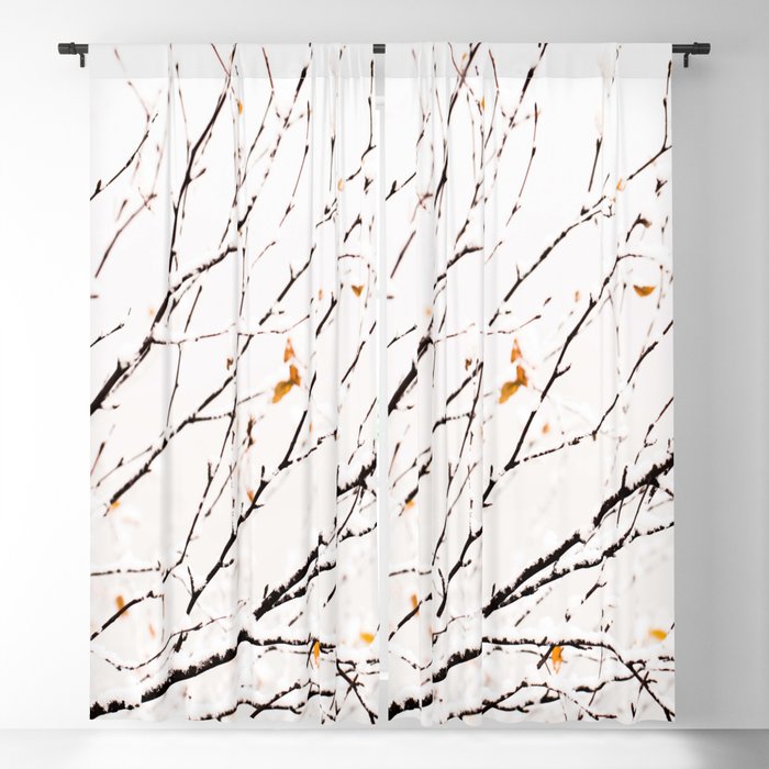 Snowy birch twigs and leaves #decor #society6 #buyart Blackout Curtain