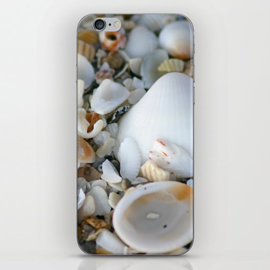 Shells iPhone & iPod Skin