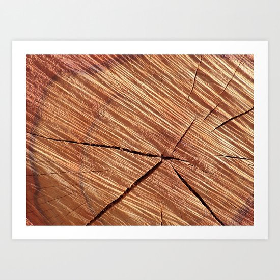 REDWOOD Art Print
