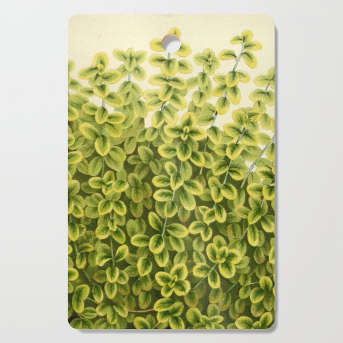 Botanical Thyme Cutting Board